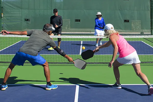 Adult Pickleball Programs with Palm Harbor Parks & Recreation