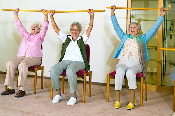 Adult Dance and Fitness Programs with Palm Harbor Parks & Recreation - Chair Aerobics